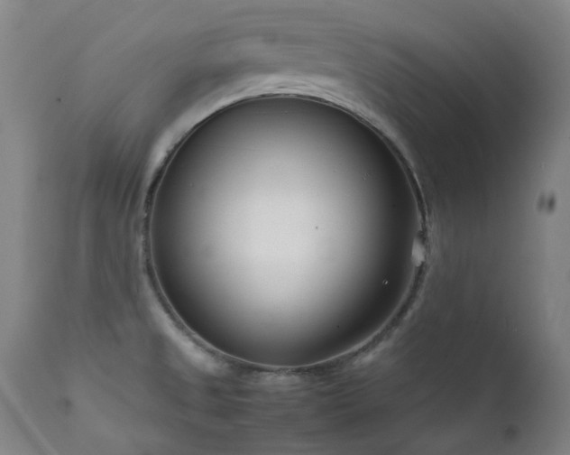X0000111921525200907271236