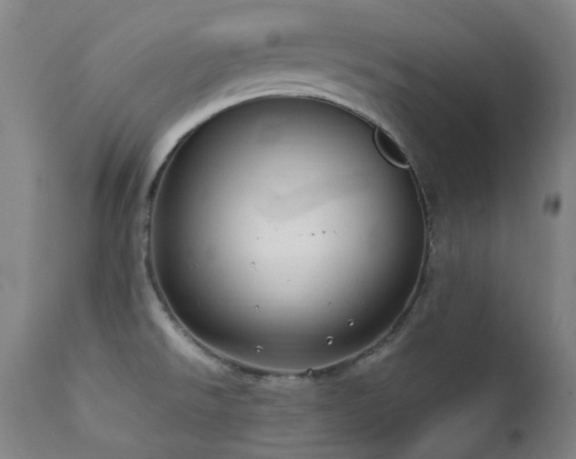 X0000111921526200907271236