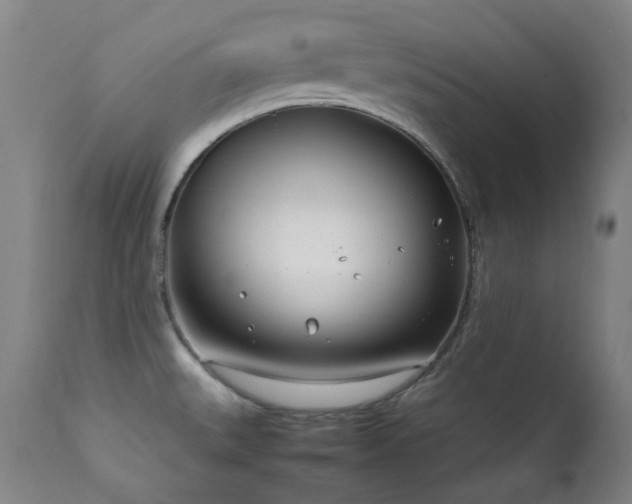 X0000111921527200907271236