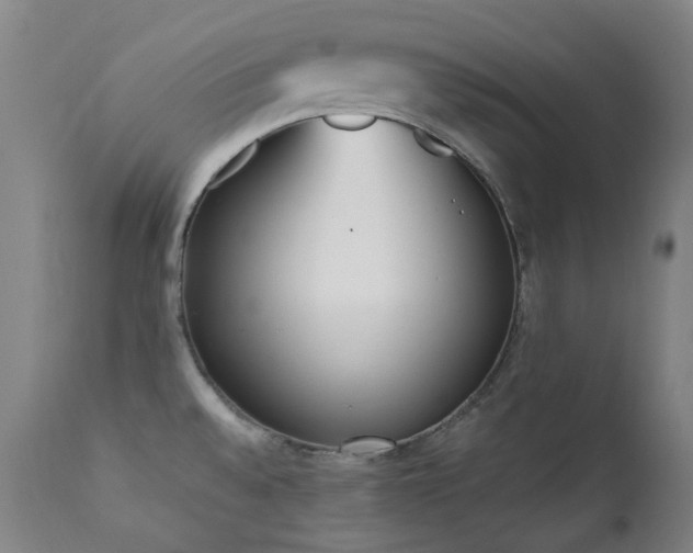 X0000111921528200907271236