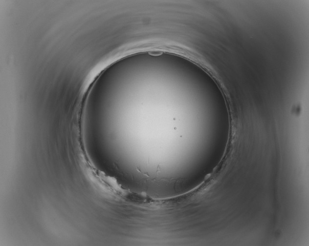 X0000111921530200907271236