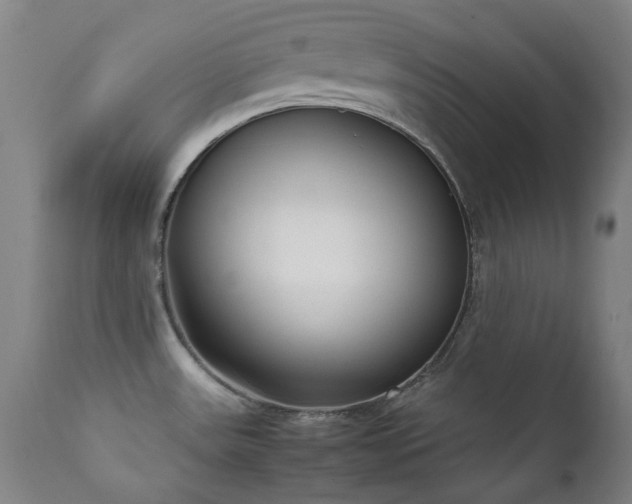 X0000111921531200907271236