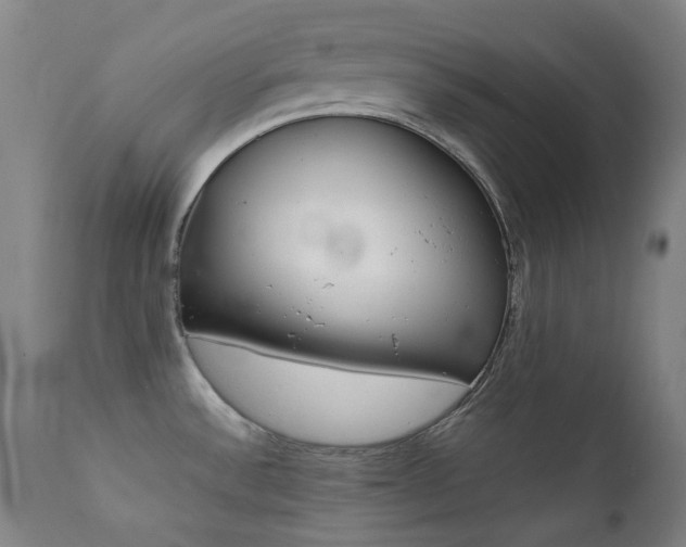 X0000111921532200907271236