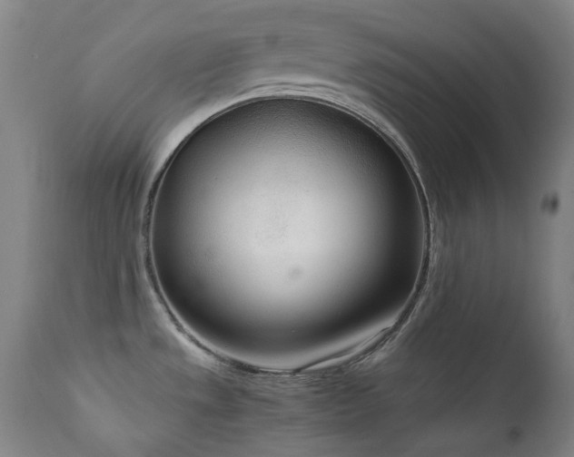 X0000111921533200907271236