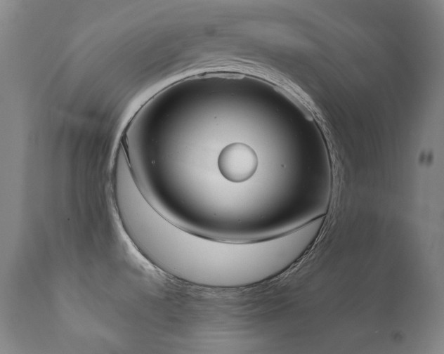 X0000111921536200907271236