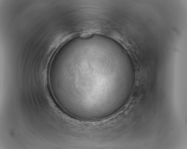 X0000111920002200908031214