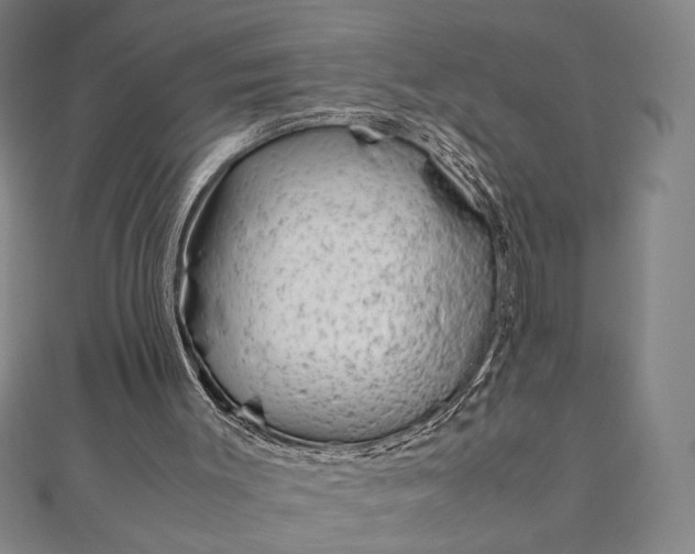 X0000111920003200908031214