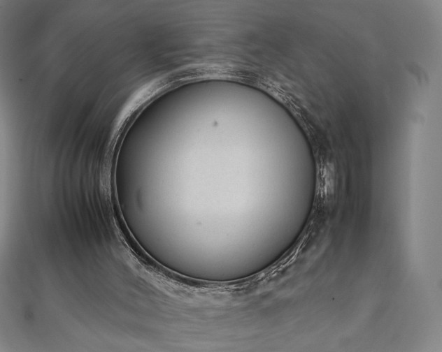 X0000111920004200908031214