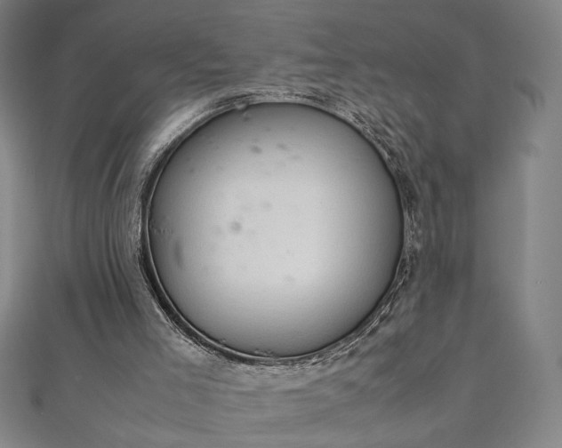 X0000111920005200908031214