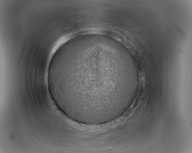 X0000111920006200908031214