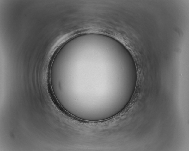 X0000111920007200908031214