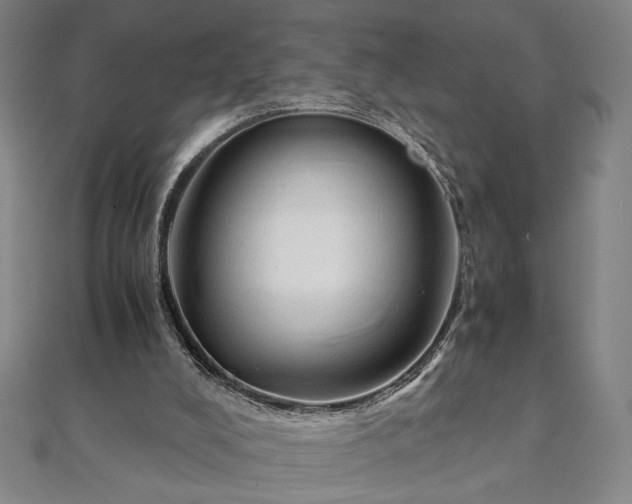 X0000111920008200908031214