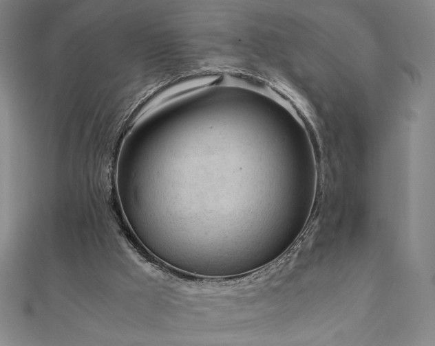 X0000111920009200908031214