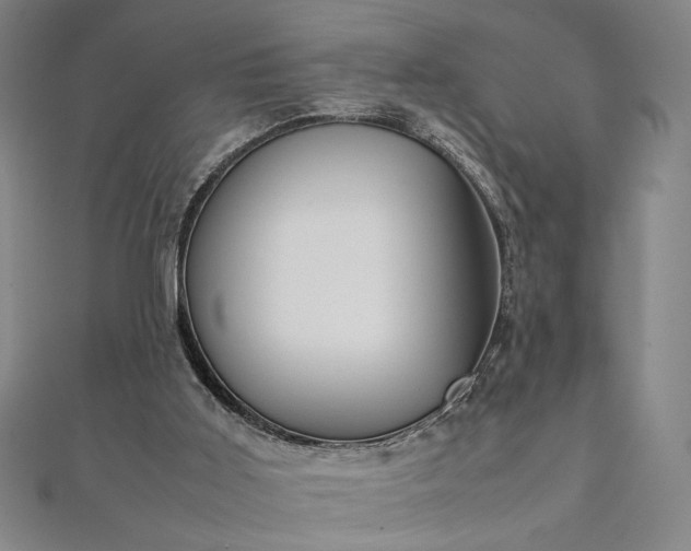 X0000111920011200908031214