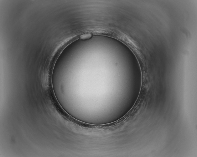 X0000111920012200908031214