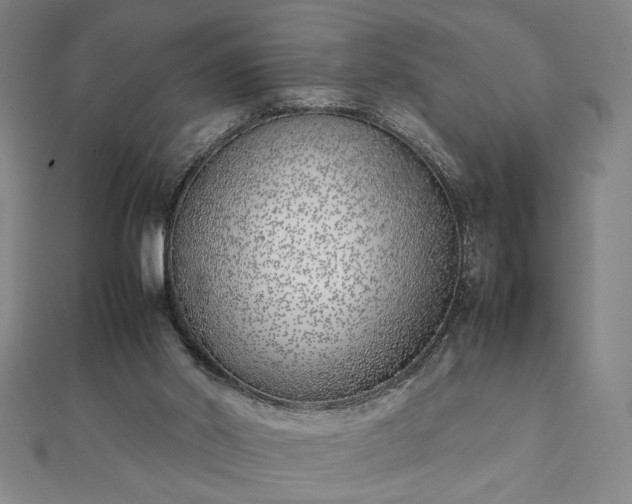 X0000111920014200908031214