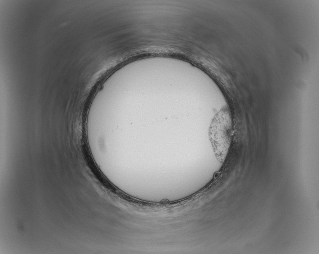 X0000111920015200908031214