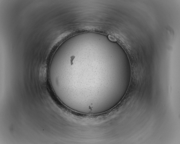 X0000111920016200908031214