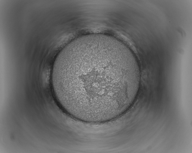 X0000111920018200908031214