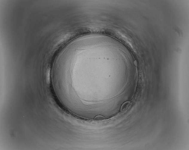 X0000111920019200908031214