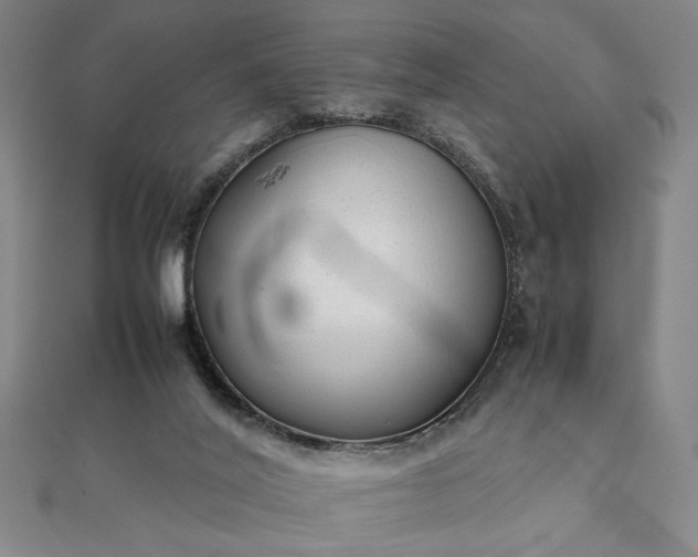 X0000111920020200908031214