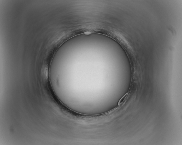 X0000111920021200908031214