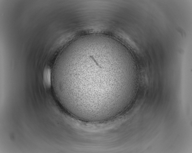 X0000111920022200908031214