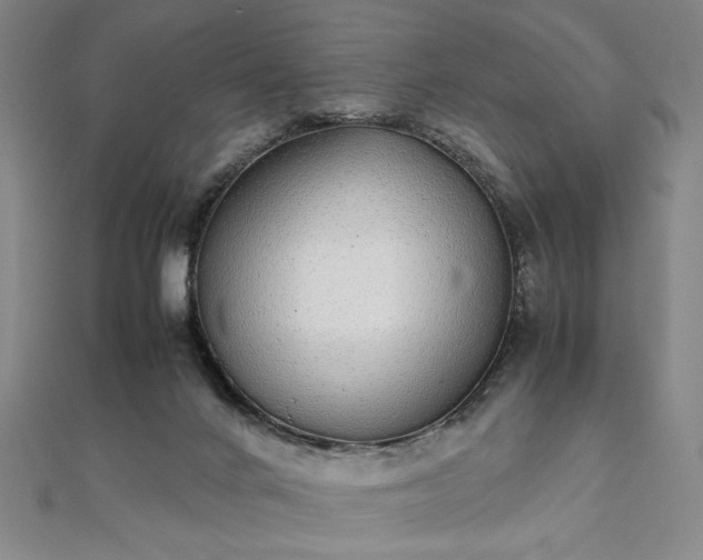 X0000111920024200908031214