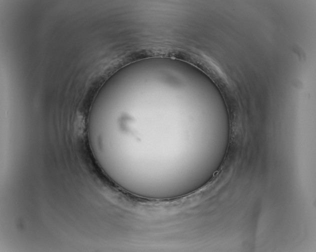 X0000111920025200908031214