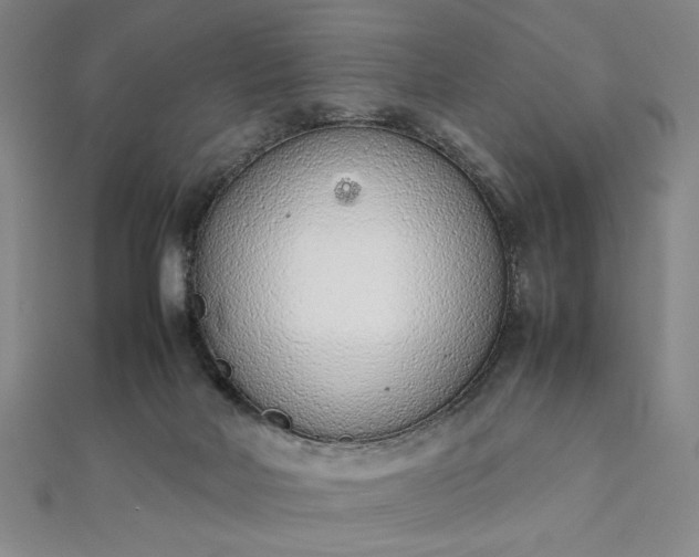 X0000111920026200908031214