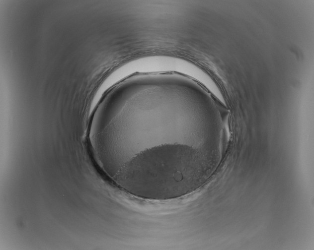 X0000111920027200908031214