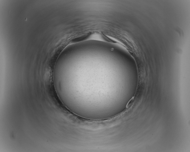 X0000111920029200908031214