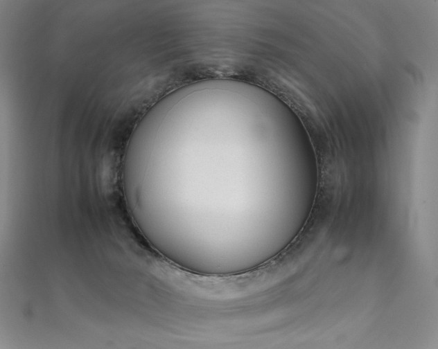 X0000111920030200908031214