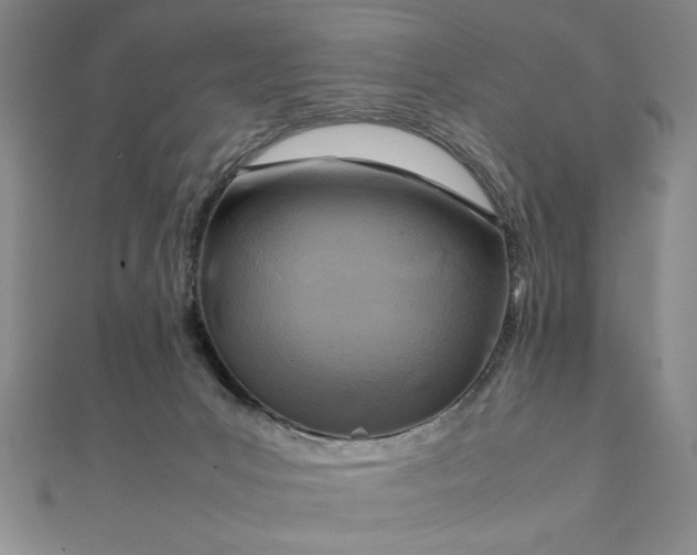 X0000111920031200908031214