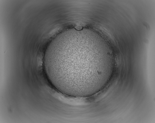 X0000111920032200908031214