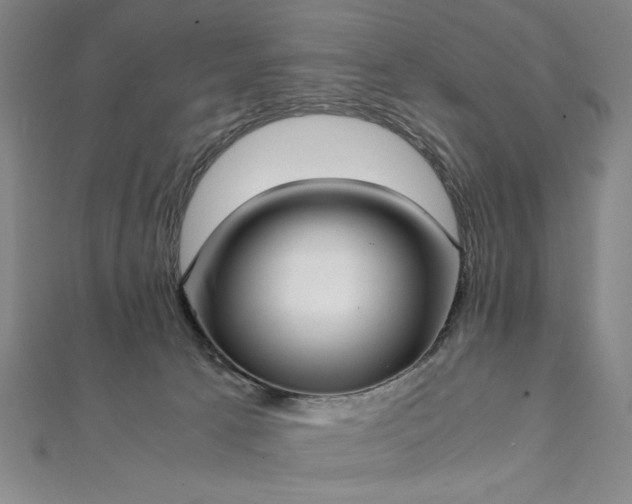 X0000111920033200908031214