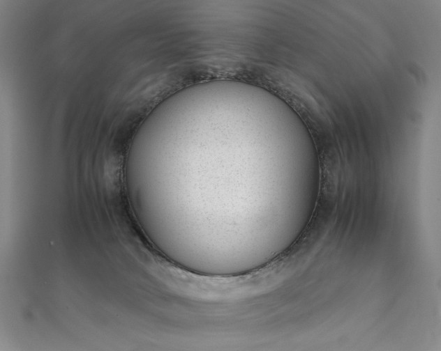 X0000111920034200908031214