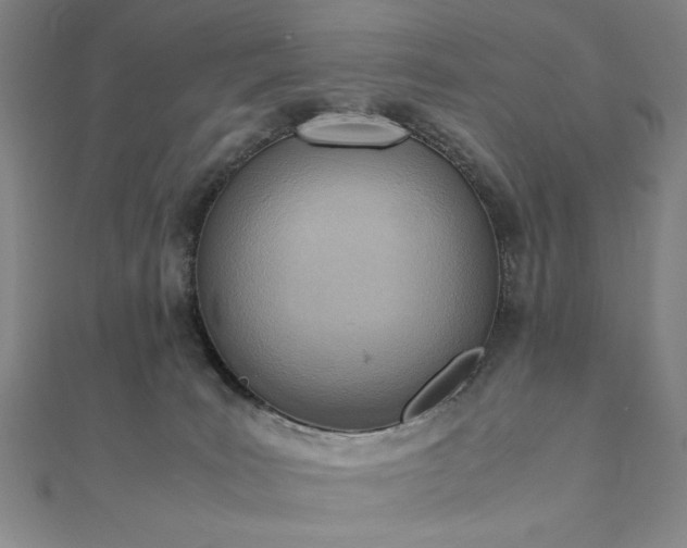 X0000111920035200908031214