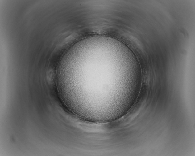 X0000111920036200908031214