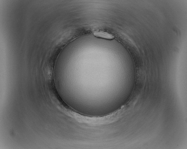 X0000111920039200908031214