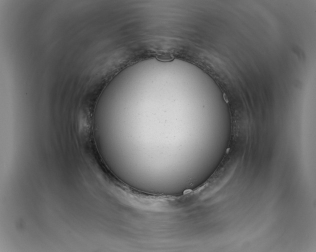 X0000111920040200908031214