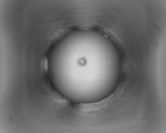 X0000111920041200908031214