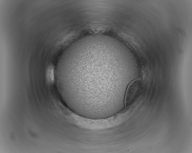 X0000111920042200908031214