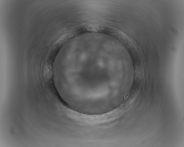 X0000111920043200908031214