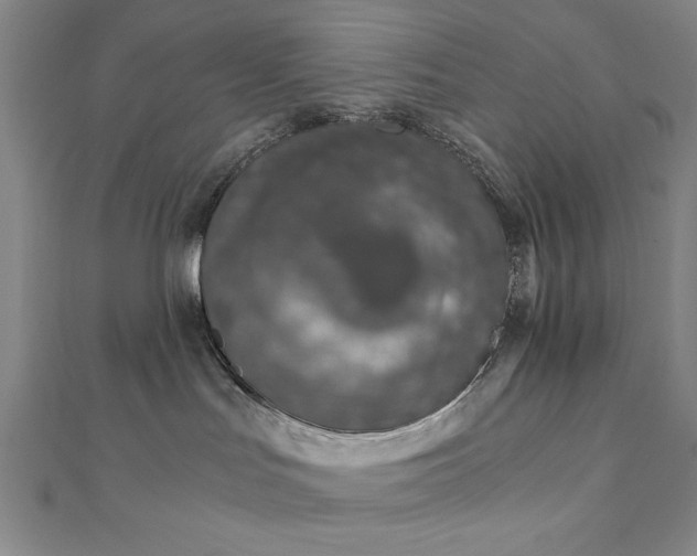 X0000111920047200908031213