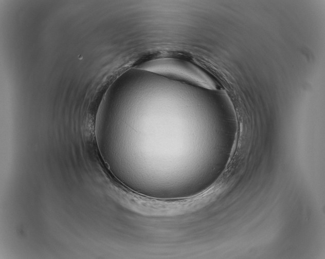 X0000111920048200908031213