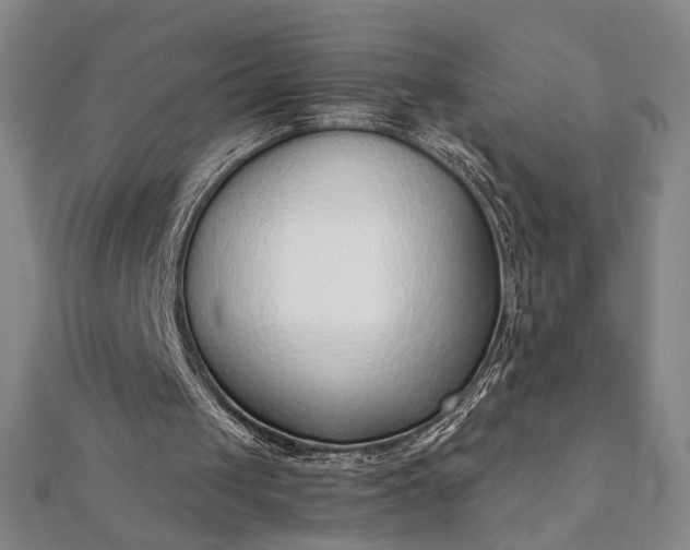 X0000111920049200908031213