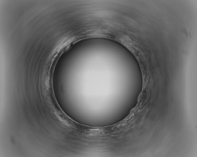 X0000111920050200908031213