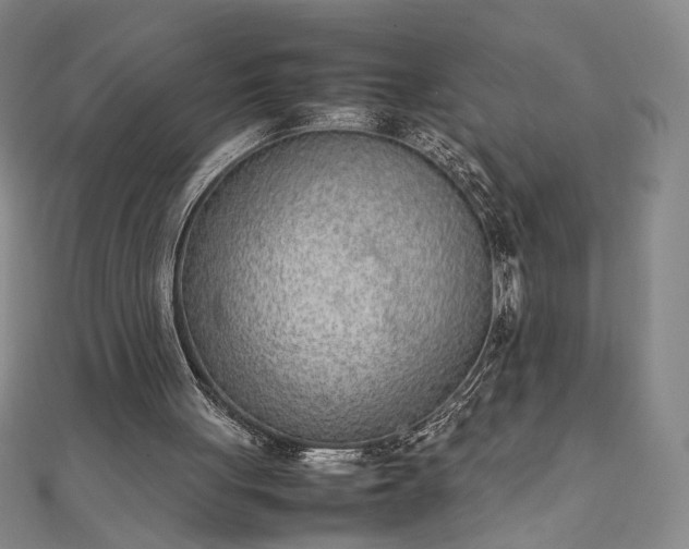 X0000111920051200908031213