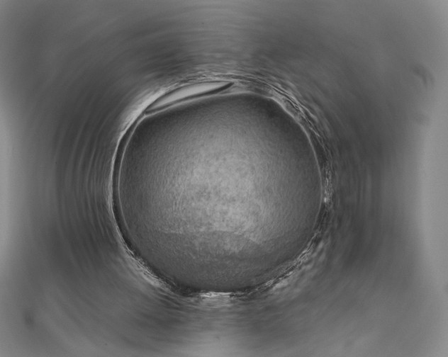 X0000111920052200908031213